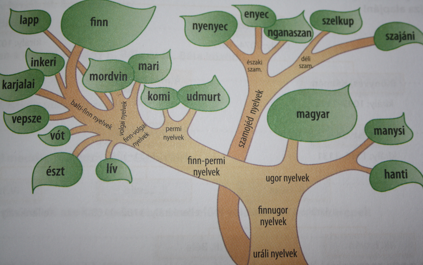93,Magyar népek nyelvcsaládja keleti ága